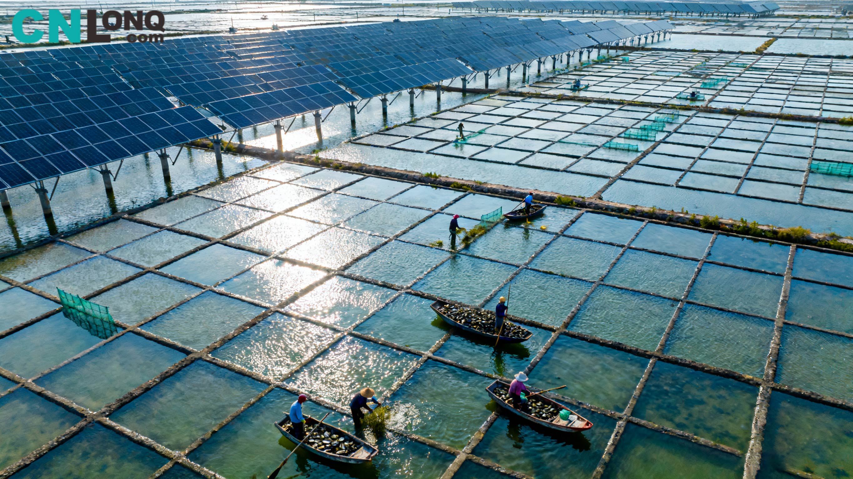 Investiție totală de 1,2 miliarde RMB! Câmpul de sare Xindao Qingkou de 250 MW „complementare pescuit-solar” deschide terenul